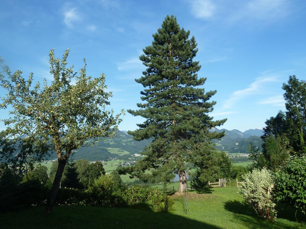 Pension Schone Aussicht Kuchl Exterior foto